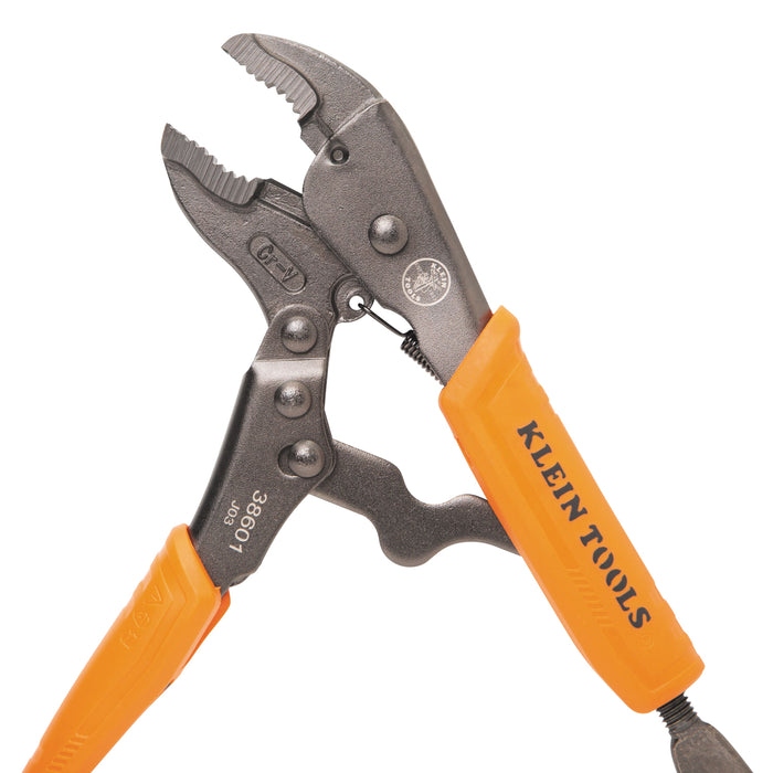 38601_jawdetailopen1.jpg