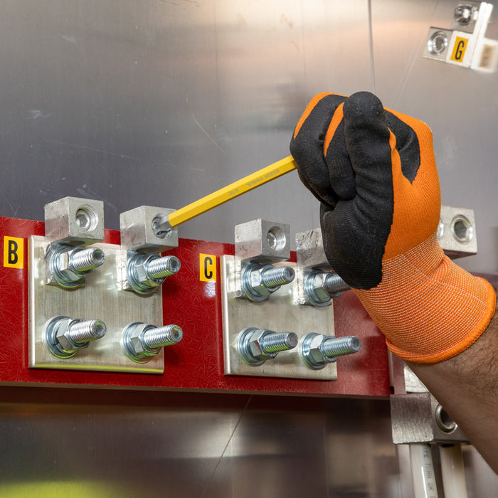 cbls10_app10.jpg